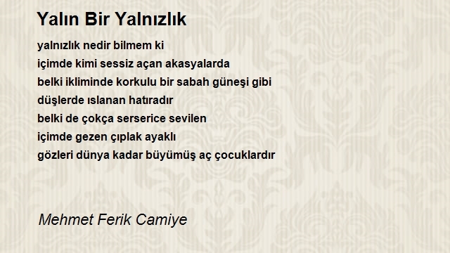 Mehmet Ferik Camiye