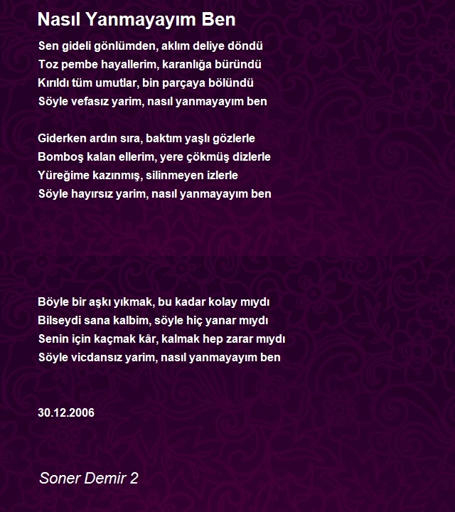 Soner Demir 2