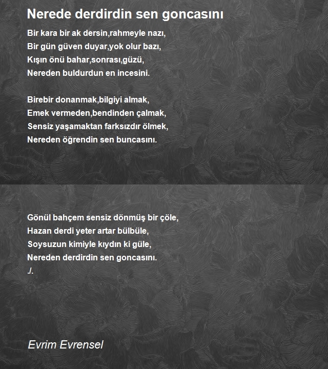 Evrim Evrensel