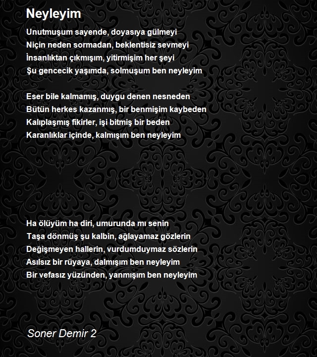 Soner Demir 2