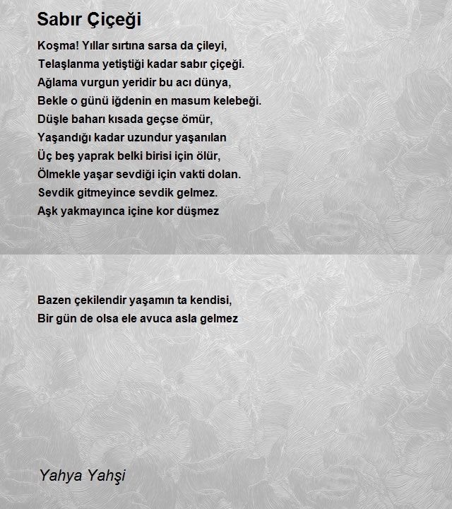 Yahya Yahşi