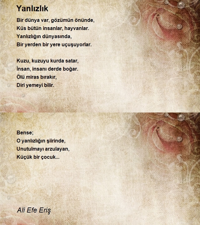 Ali Efe Eriş