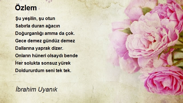 İbrahim Uyanık