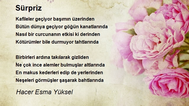 Hacer Esma Yüksel