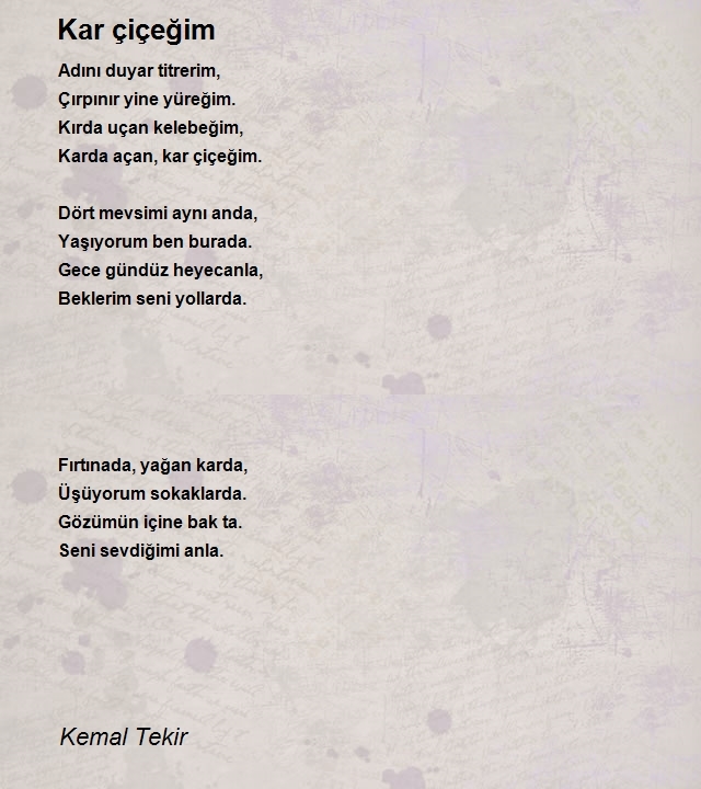 Kemal Tekir