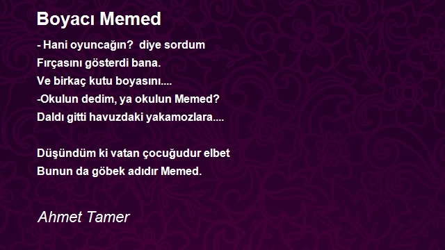 Ahmet Tamer