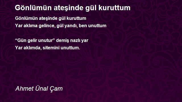 Ahmet Ünal Çam