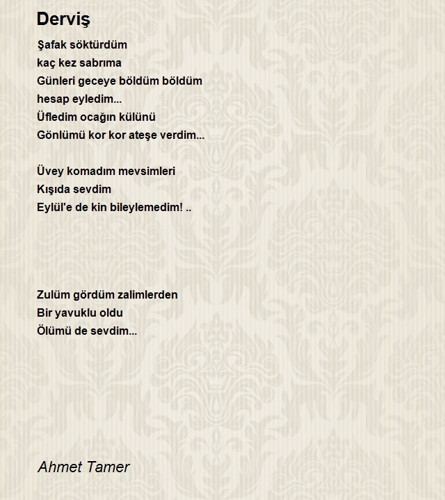 Ahmet Tamer