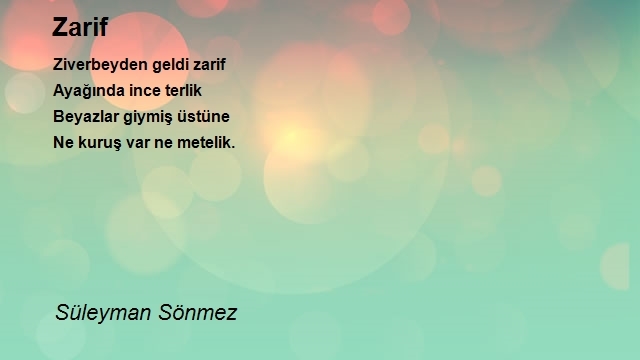 Süleyman Sönmez