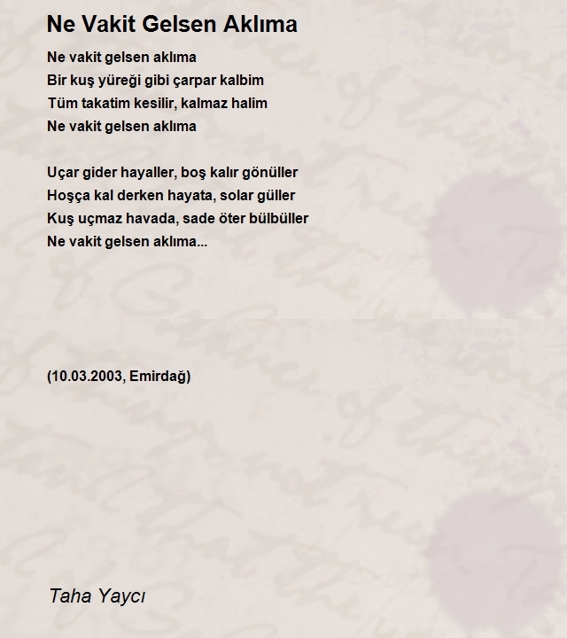 Taha Yaycı