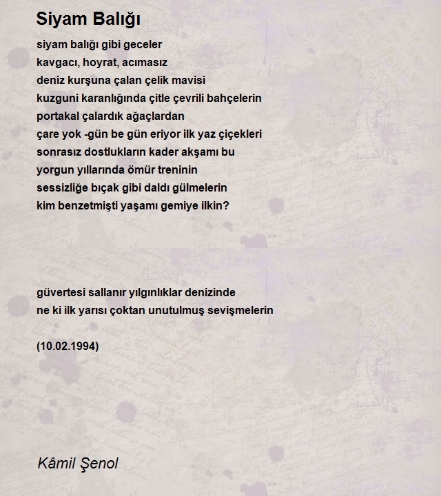 Kâmil Şenol