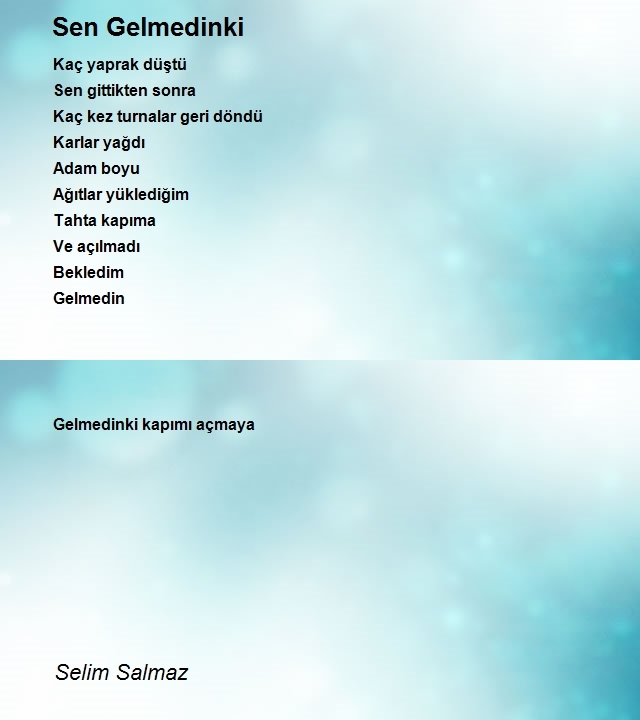 Selim Salmaz