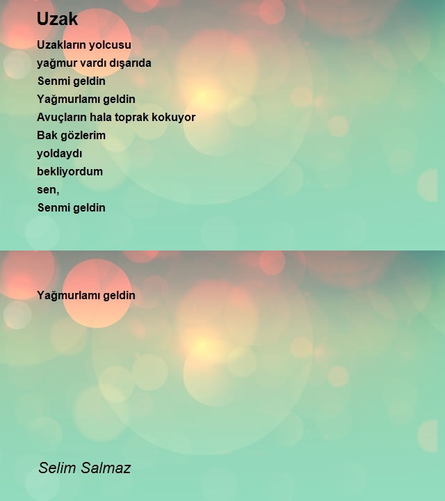 Selim Salmaz