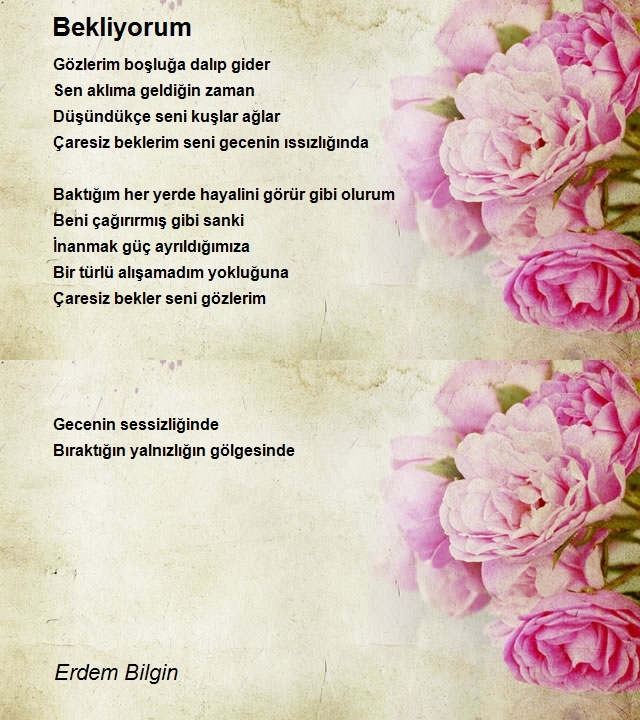 Erdem Bilgin