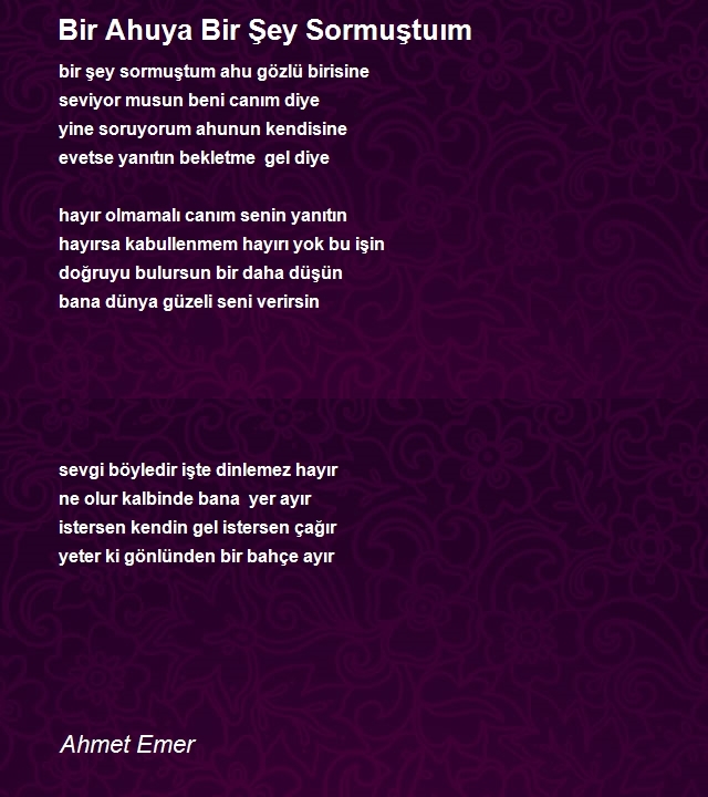 Ahmet Emer