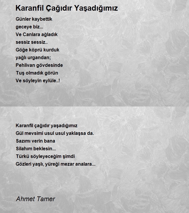 Ahmet Tamer