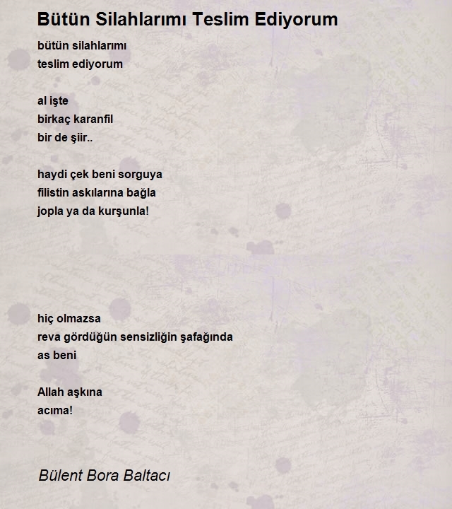 Bülent Bora Baltacı