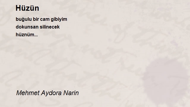 Mehmet Aydora Narin