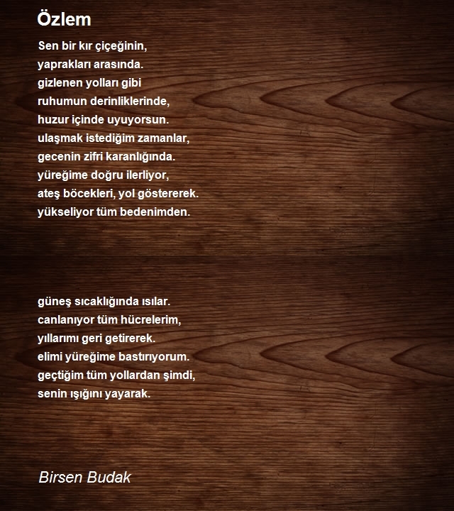 Birsen Budak