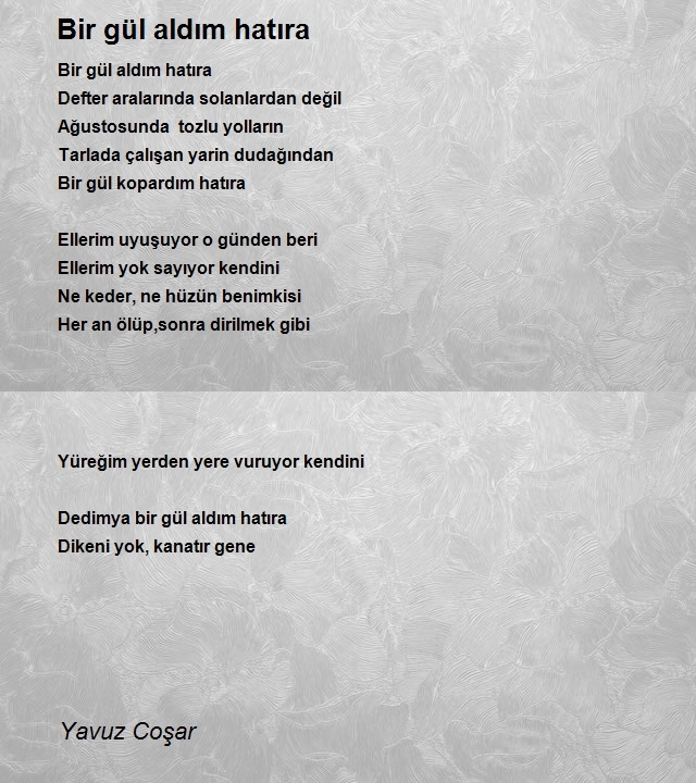 Yavuz Coşar