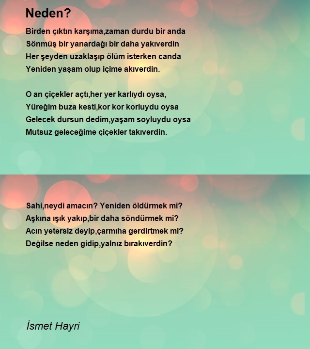 İsmet Hayri