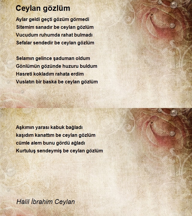 Halil İbrahim Ceylan