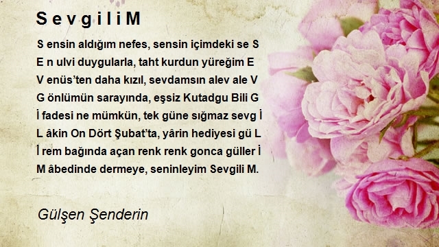 Gülşen Şenderin