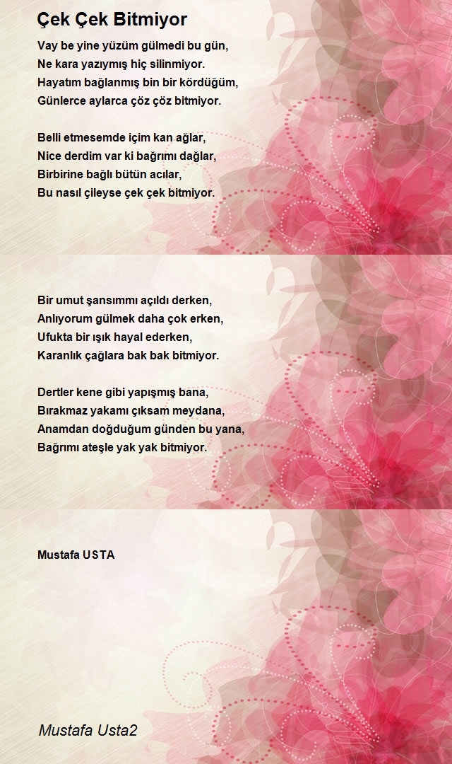 Mustafa Usta2