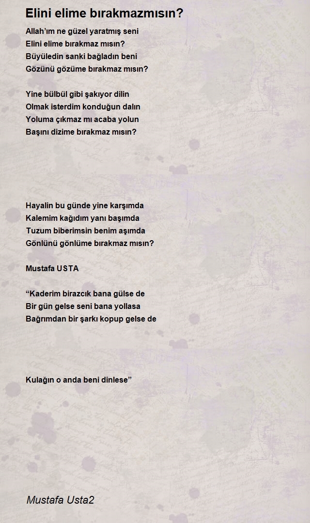 Mustafa Usta2