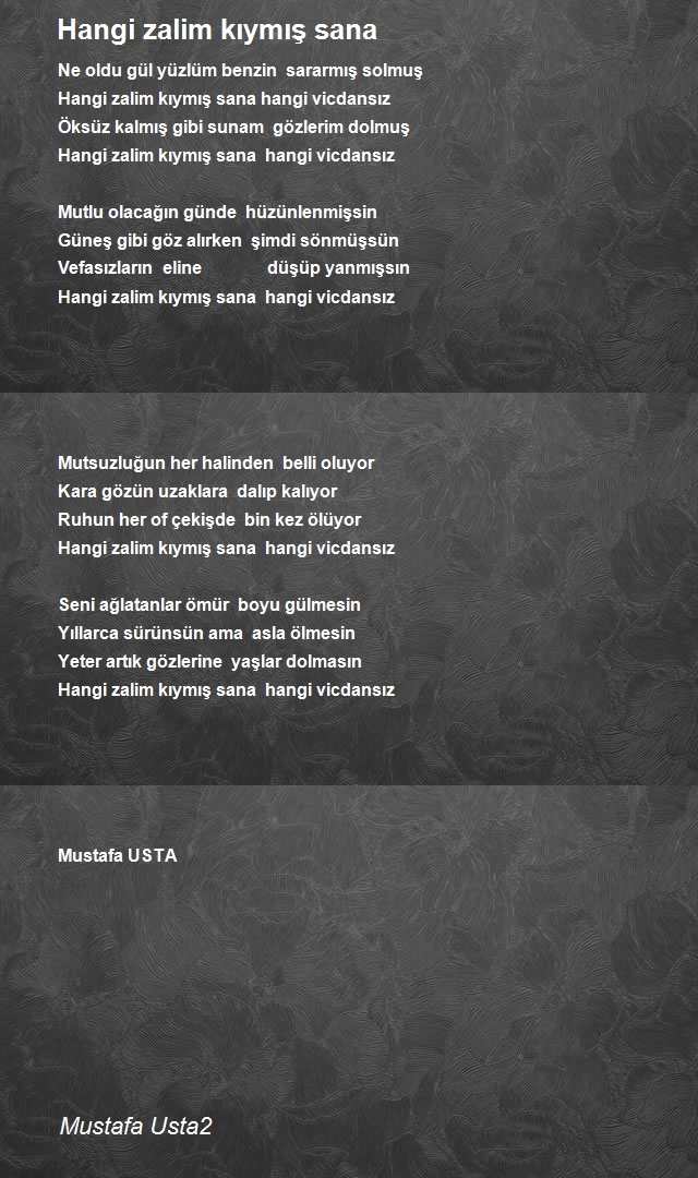 Mustafa Usta2