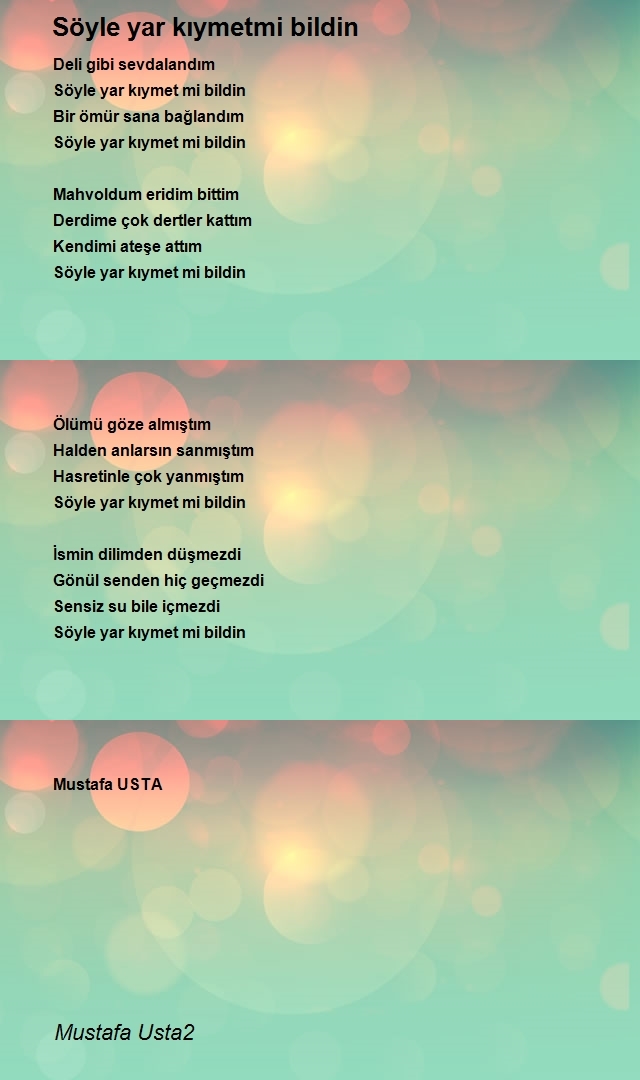 Mustafa Usta2