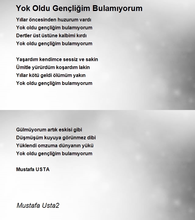 Mustafa Usta2