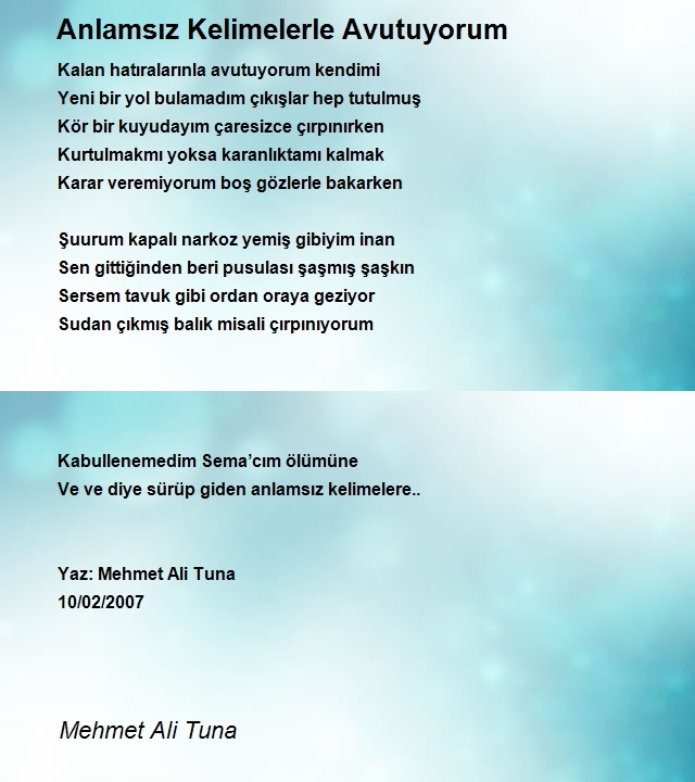 Mehmet Ali Tuna