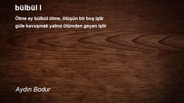 Aydın Bodur