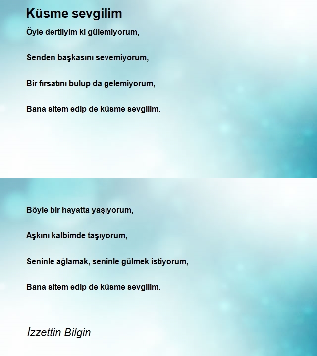 İzzettin Bilgin 