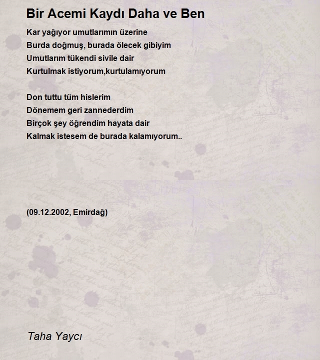 Taha Yaycı