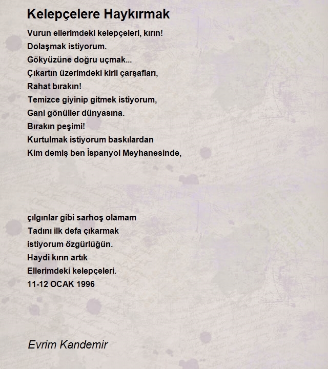 Evrim Kandemir