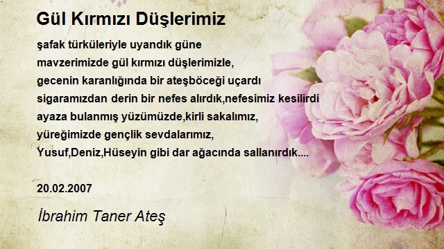 İbrahim Taner Ateş