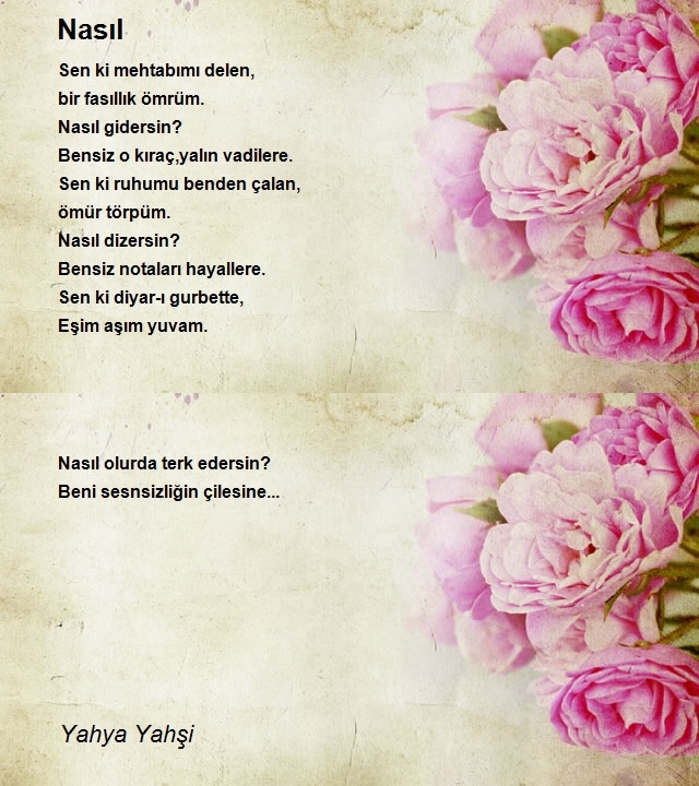 Yahya Yahşi