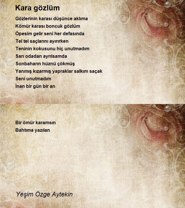 Yeşim Özge Aytekin