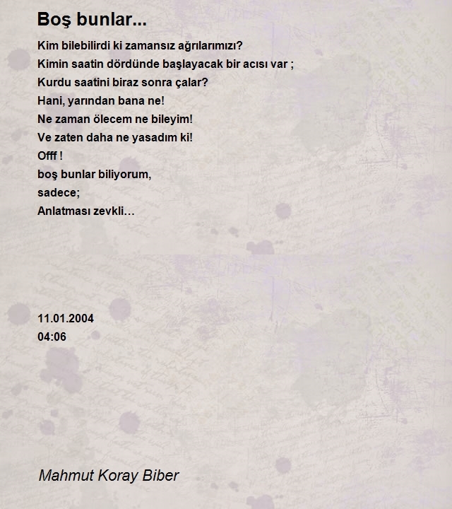 Mahmut Koray Biber