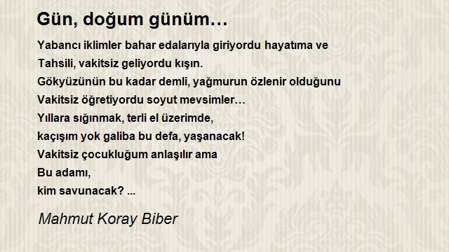 Mahmut Koray Biber