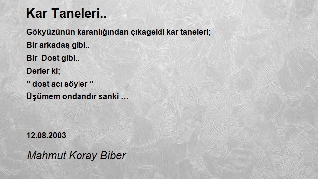 Mahmut Koray Biber