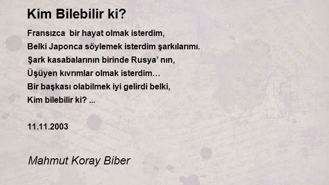 Mahmut Koray Biber