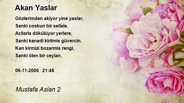 Mustafa Aslan 2