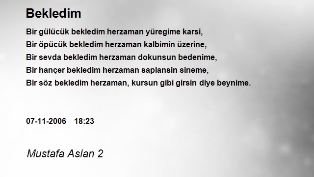 Mustafa Aslan 2