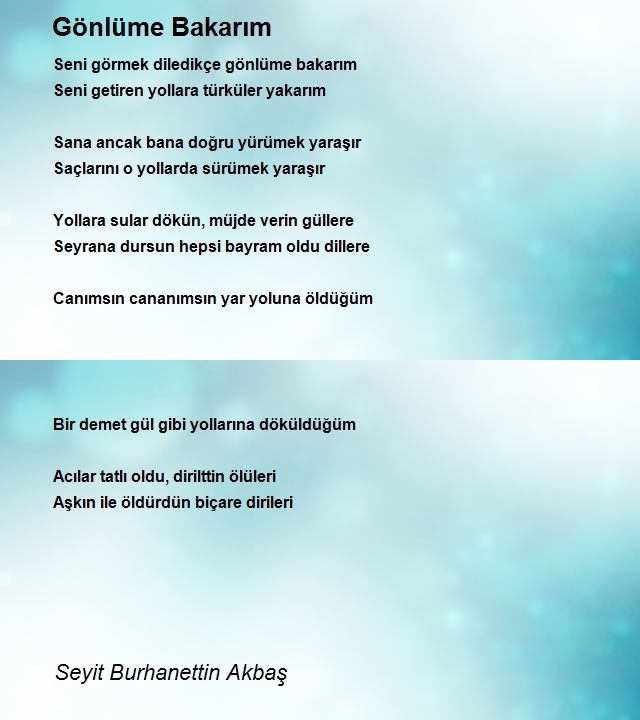 Seyit Burhanettin Akbaş