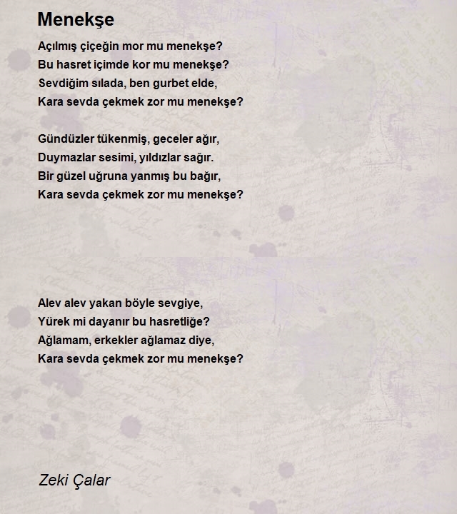 Zeki Çalar