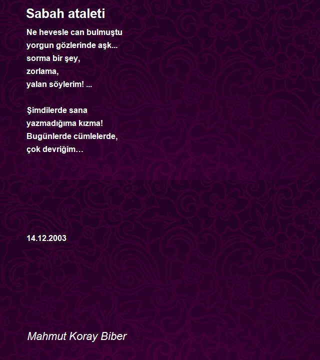 Mahmut Koray Biber