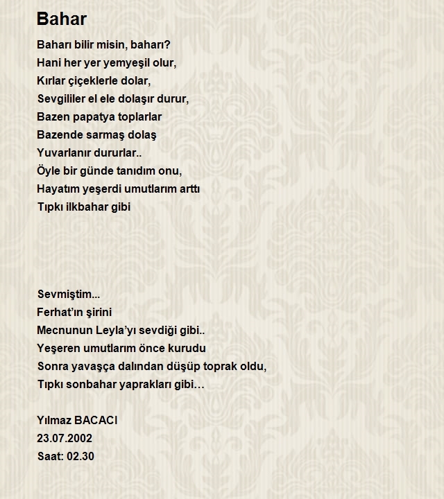 Yılmaz Bacacı